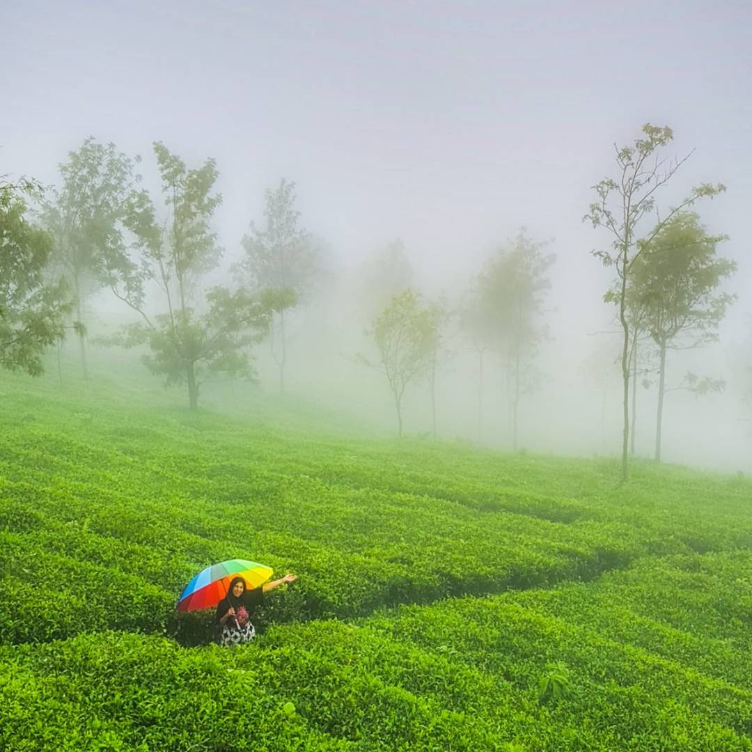 Ooty and Coonoor Tour (3 Days / 2 Nights)
