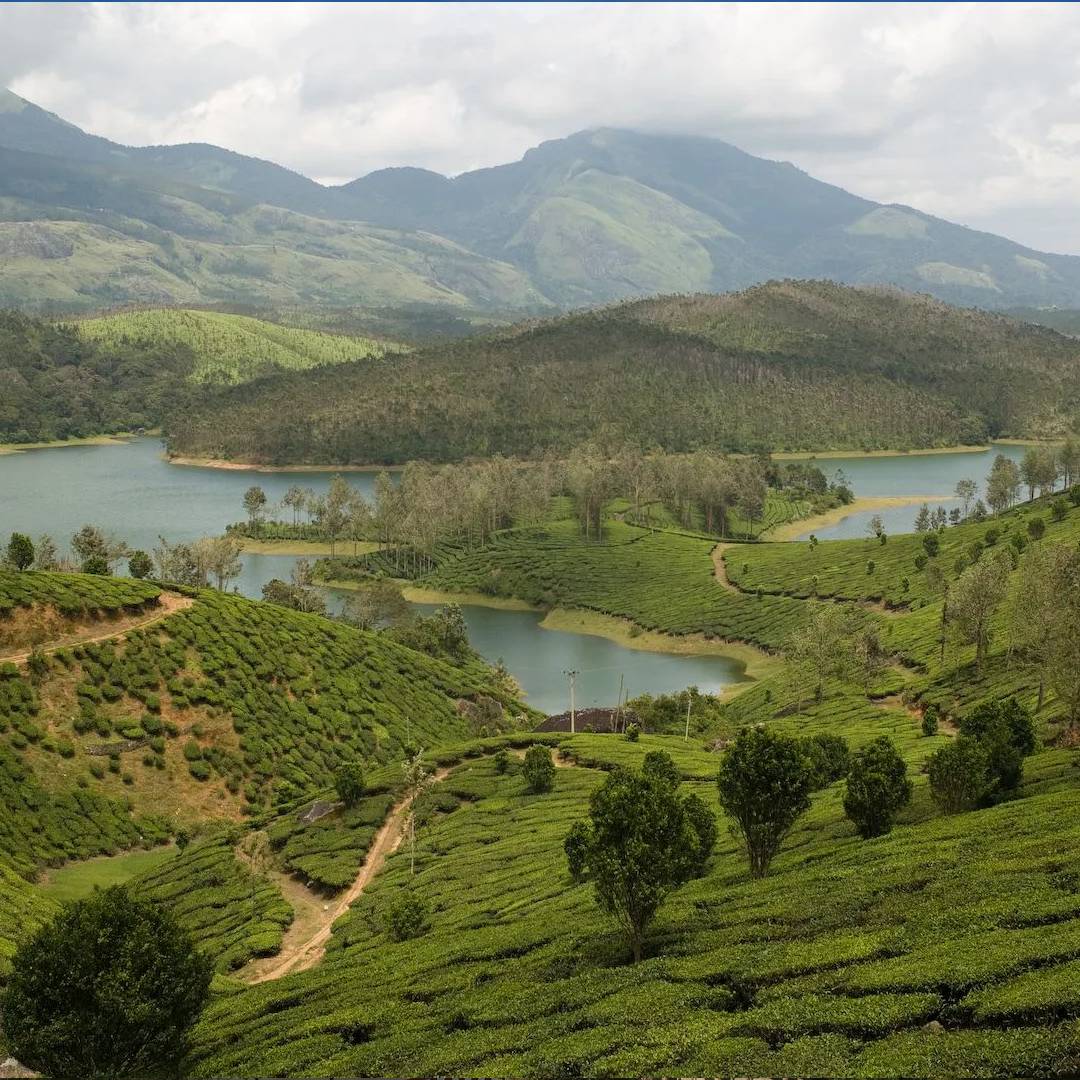 Yelagiri Hills Tour (2 Days / 1 Night)