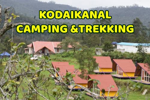 Kodaikanal Camping & Trekking Packages
