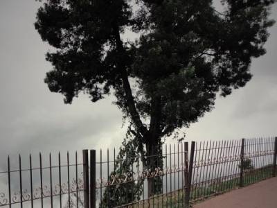 Kodaikanal Tour Packages