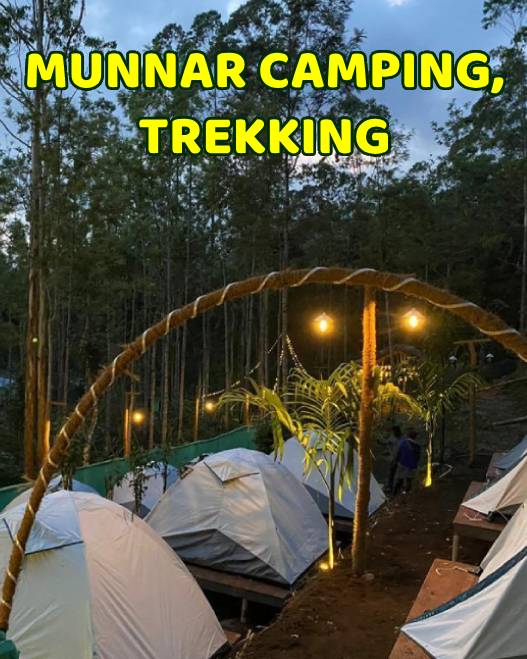 Munnar Camping & Trekking Package from Chennai