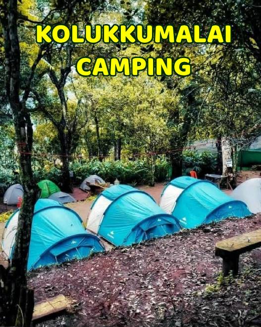 Munnar Tent Stay from Coimbatore
