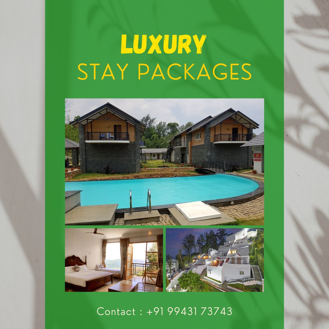 Bangalore to Yercaud Packages